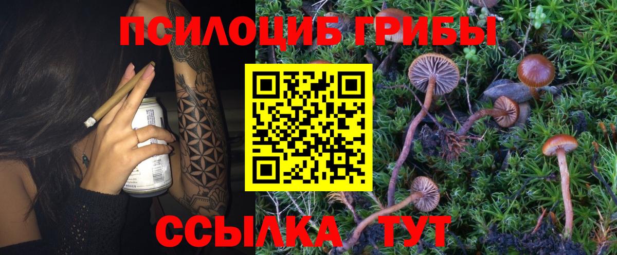 Псилоцибиновые грибы GOLDEN TEACHER Южноуральск