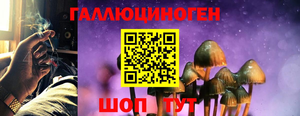 Галлюциногенные грибы Psilocybine cubensis  Вход с VPN  Южноуральск 